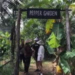 PEPPER FARM PHU QUOC