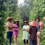 PEPPER FARM PHU QUOC