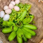 PEPPER FARM PHU QUOC