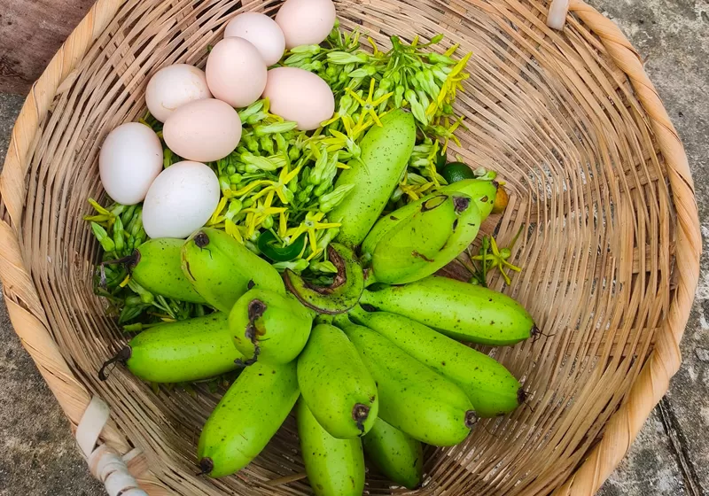 PEPPER FARM PHU QUOC